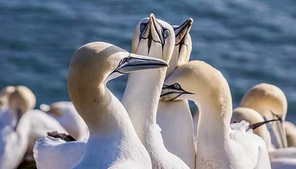 “数字货币”你知道多少？(关于数字货币你知道多少)