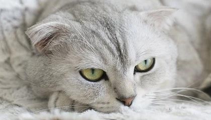 三大消息：53人全部遇难！中方火速回应；马科斯这次闯大祸了