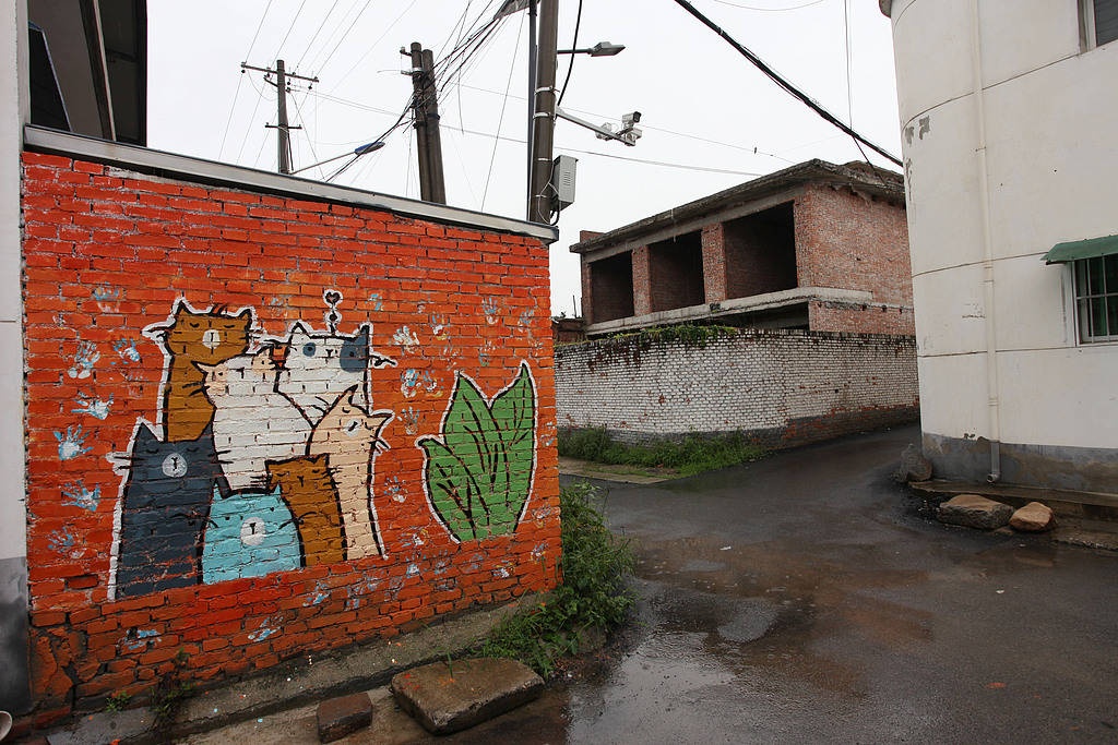 报告反映某地村屋闲置率高达43.8%,盘活宅基地要慎重