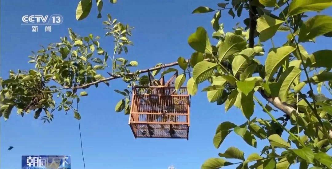 央视曝光当天,葫芦岛开展专项行动