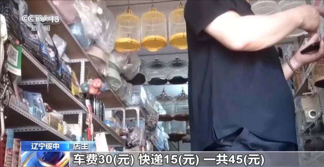 央视曝光当天,葫芦岛开展专项行动