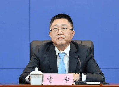 厅官贾宇，官宣落马