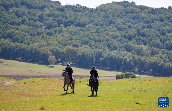 初秋的乌兰布统草原