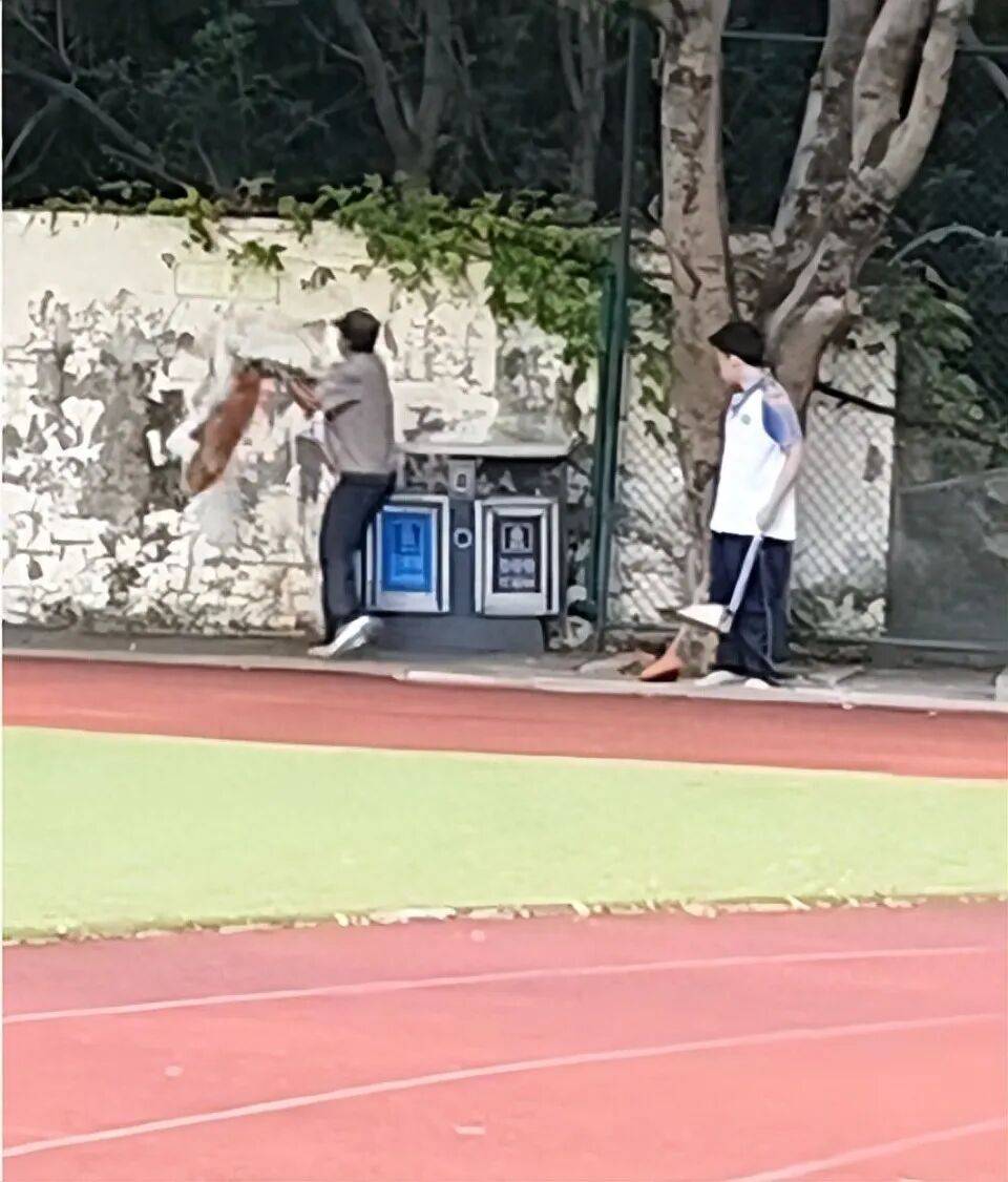 福建一公办职中保安被指当学生面,从3米高墙扔出流浪狗!福清教育局:将核实情况 福建一公办职中保安被指当学生面,从3米高墙扔出流浪狗!福清教育局:将核实情况