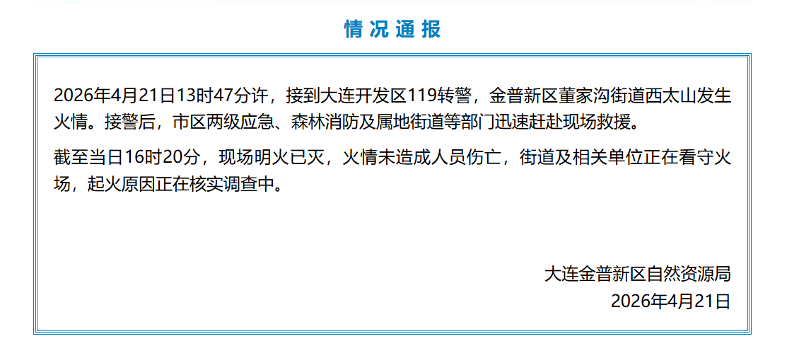 大连市金普新区董家沟街道西台山火情通报