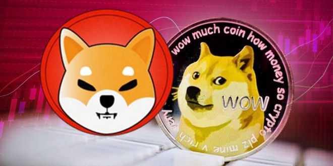狗狗币一元(狗狗币一块钱)