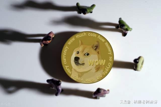2022狗狗币预测分析(2021年狗狗币前景怎么样)