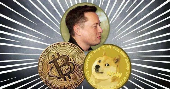 马斯克和狗狗币表情包(马斯克和狗狗币最新消息)