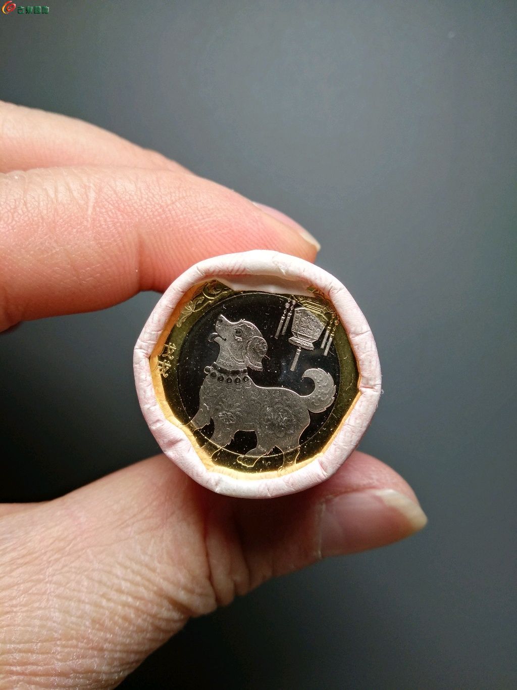 狗狗币长期(狗狗币受什么影响)