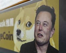 狗狗币被冻结(狗狗币是什么东西)