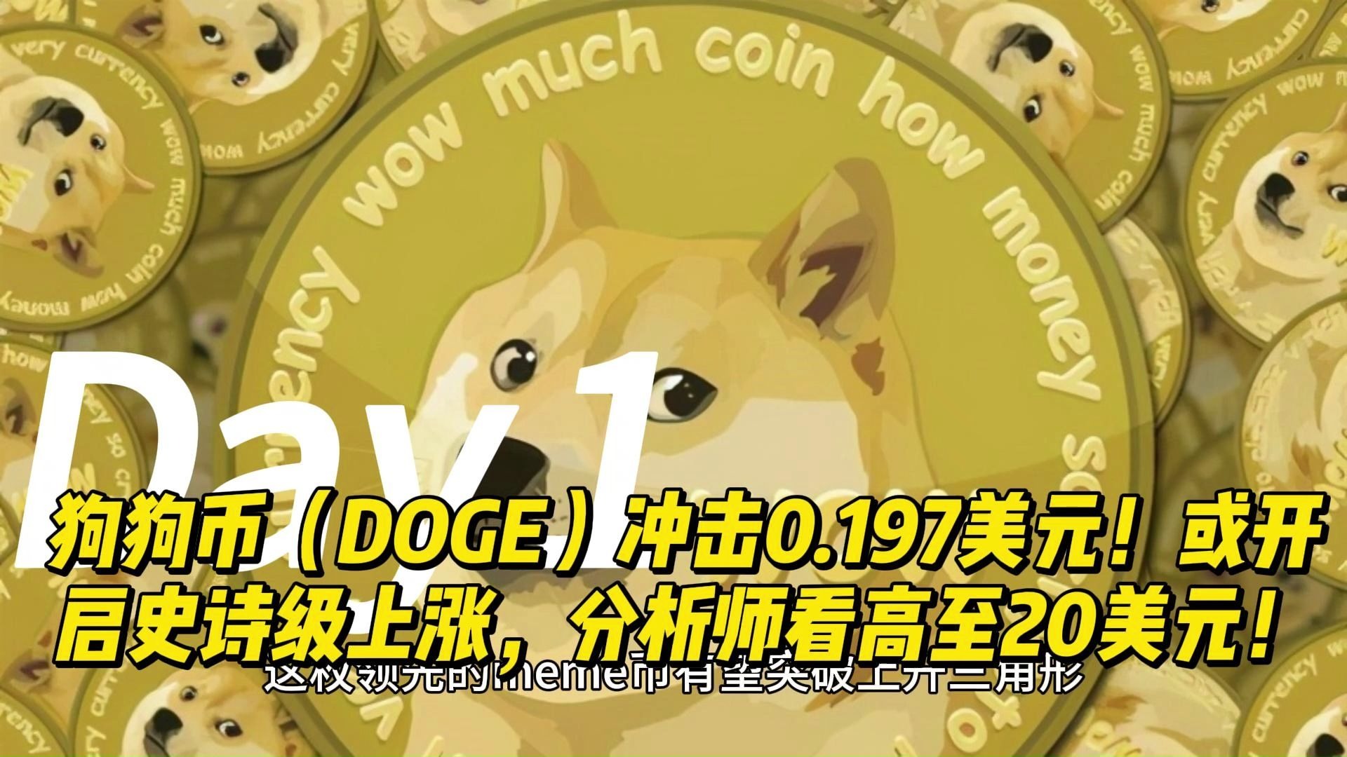 狗狗币怎么打开(狗狗币怎么操作,有谁知道)