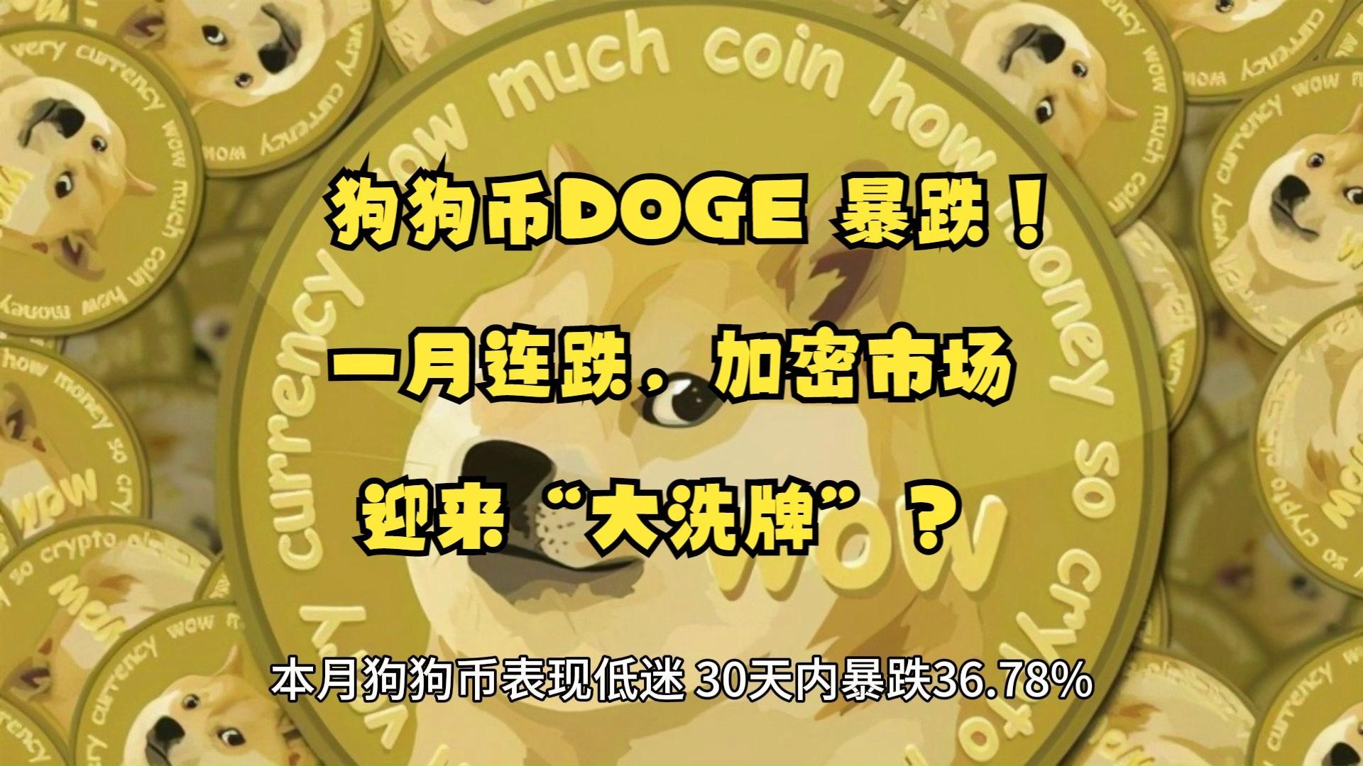 狗狗币和h(狗狗币和柴犬币哪个有前景) 狗狗币和h(狗狗币和柴犬币哪个有前景)