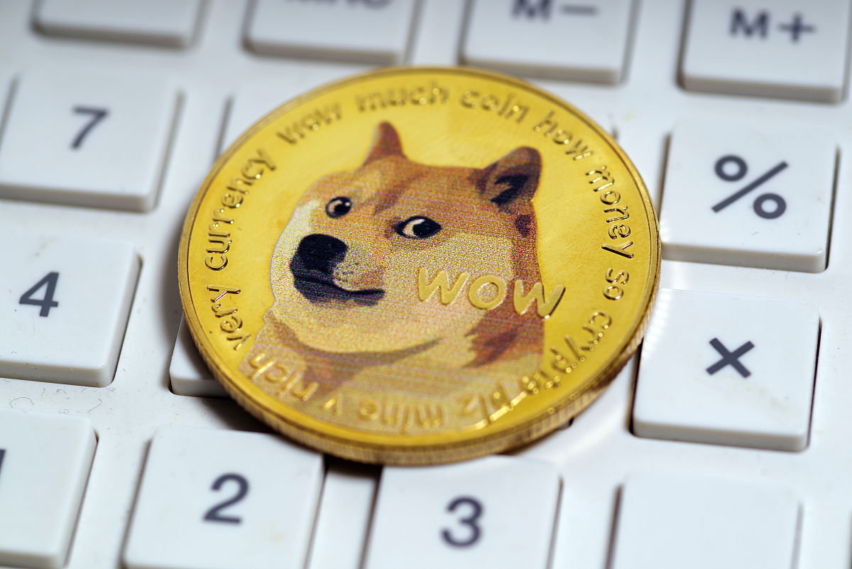 一个狗狗币实物(狗狗币为什么涨不上去)