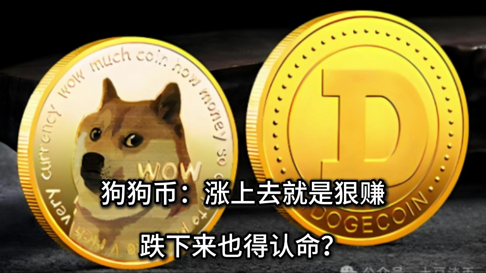 狗狗币涨了多少钱(狗狗币价格涨了多少倍)