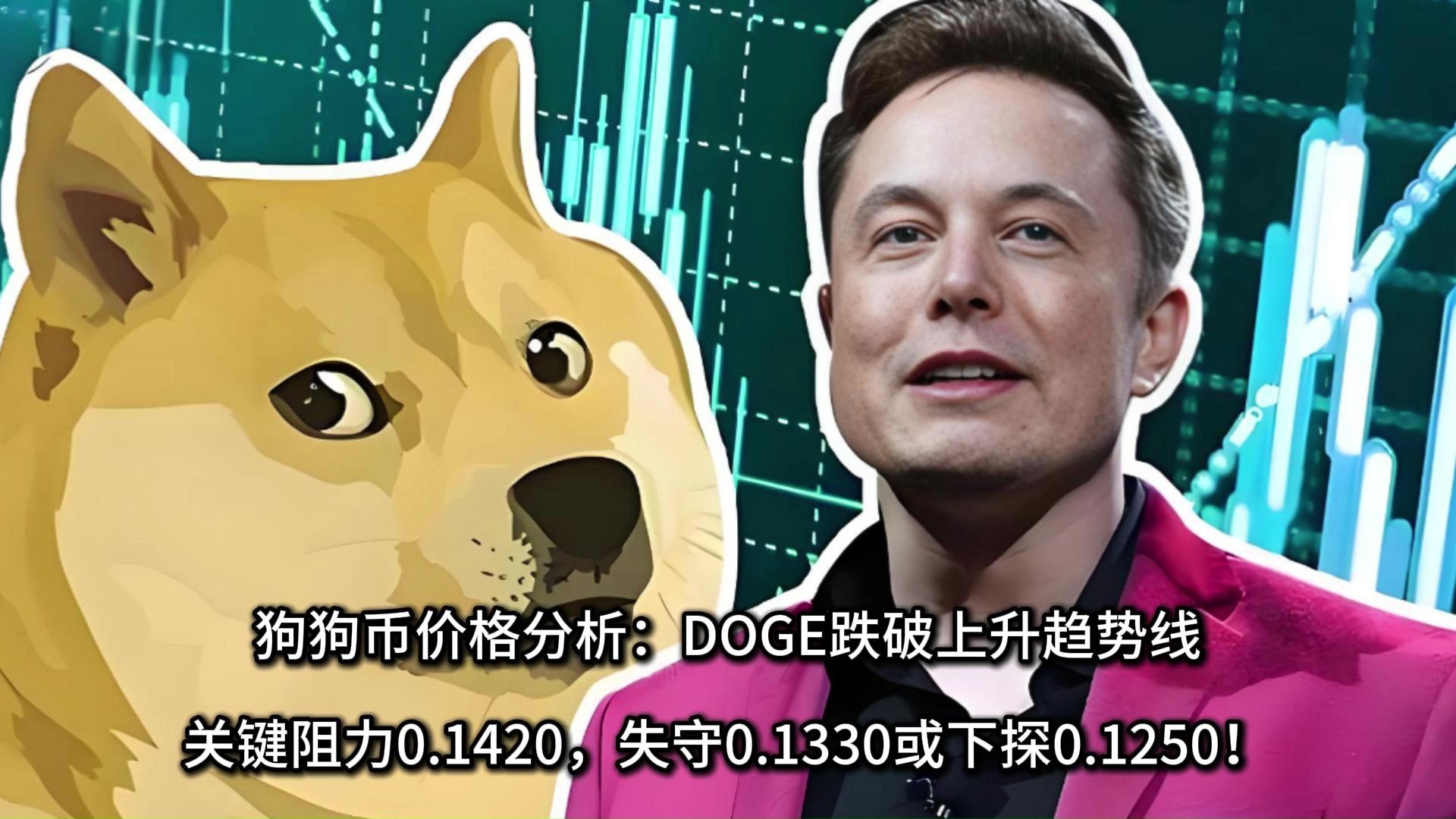 狗狗币价格2016(狗狗币价格可能很快上涨)